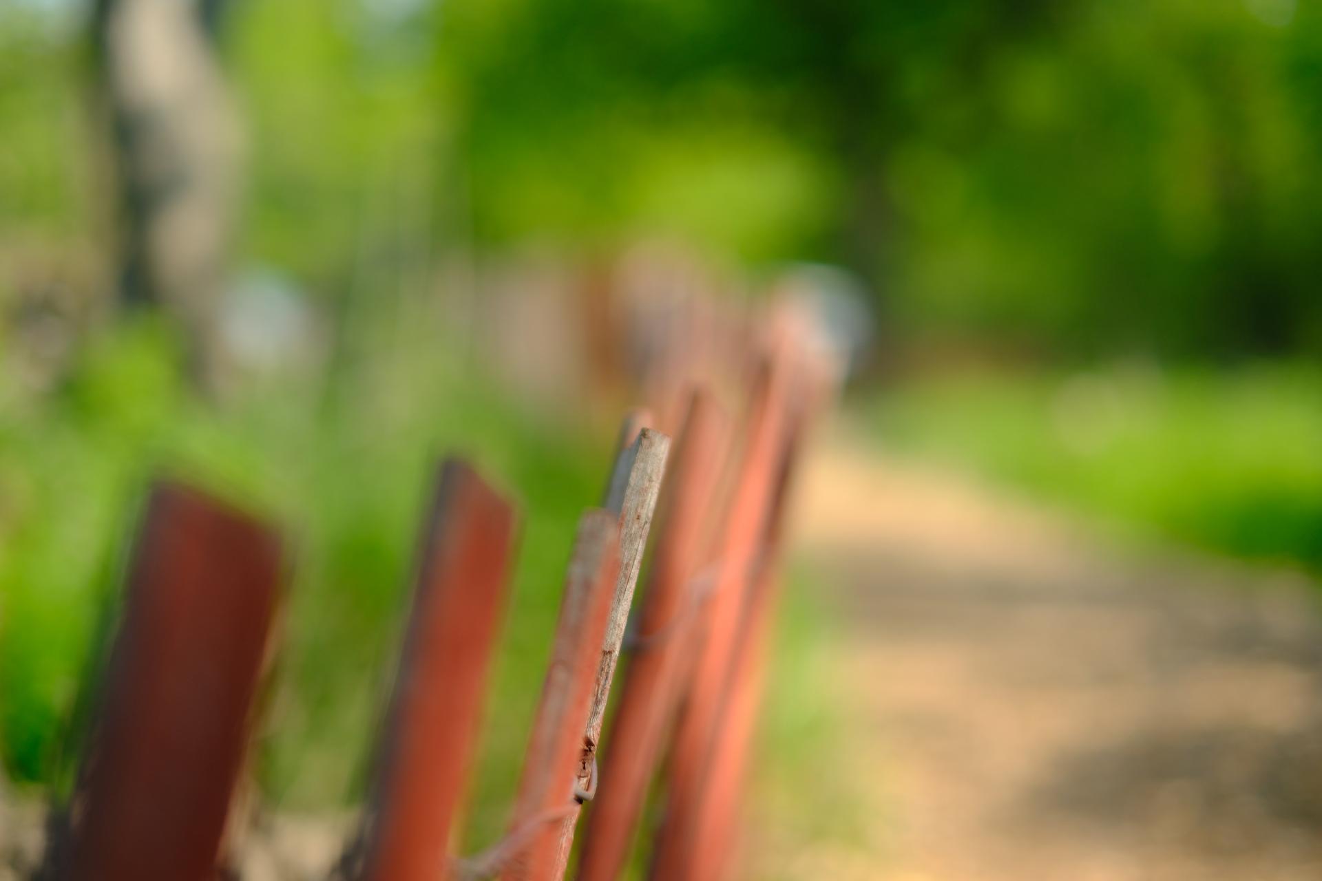 Rusty Fence